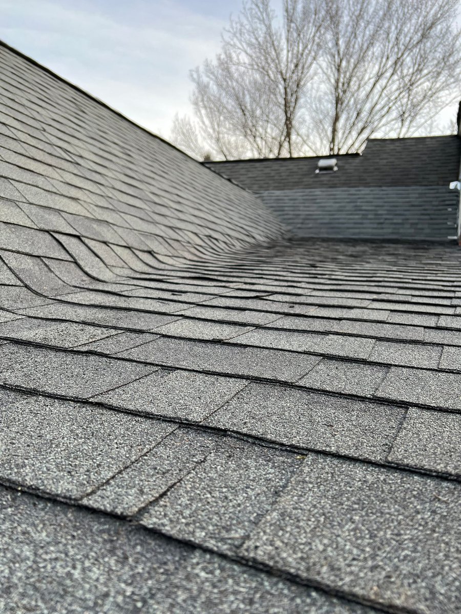 Roof after rebuild — new plywood decking and finished architectural shingles
